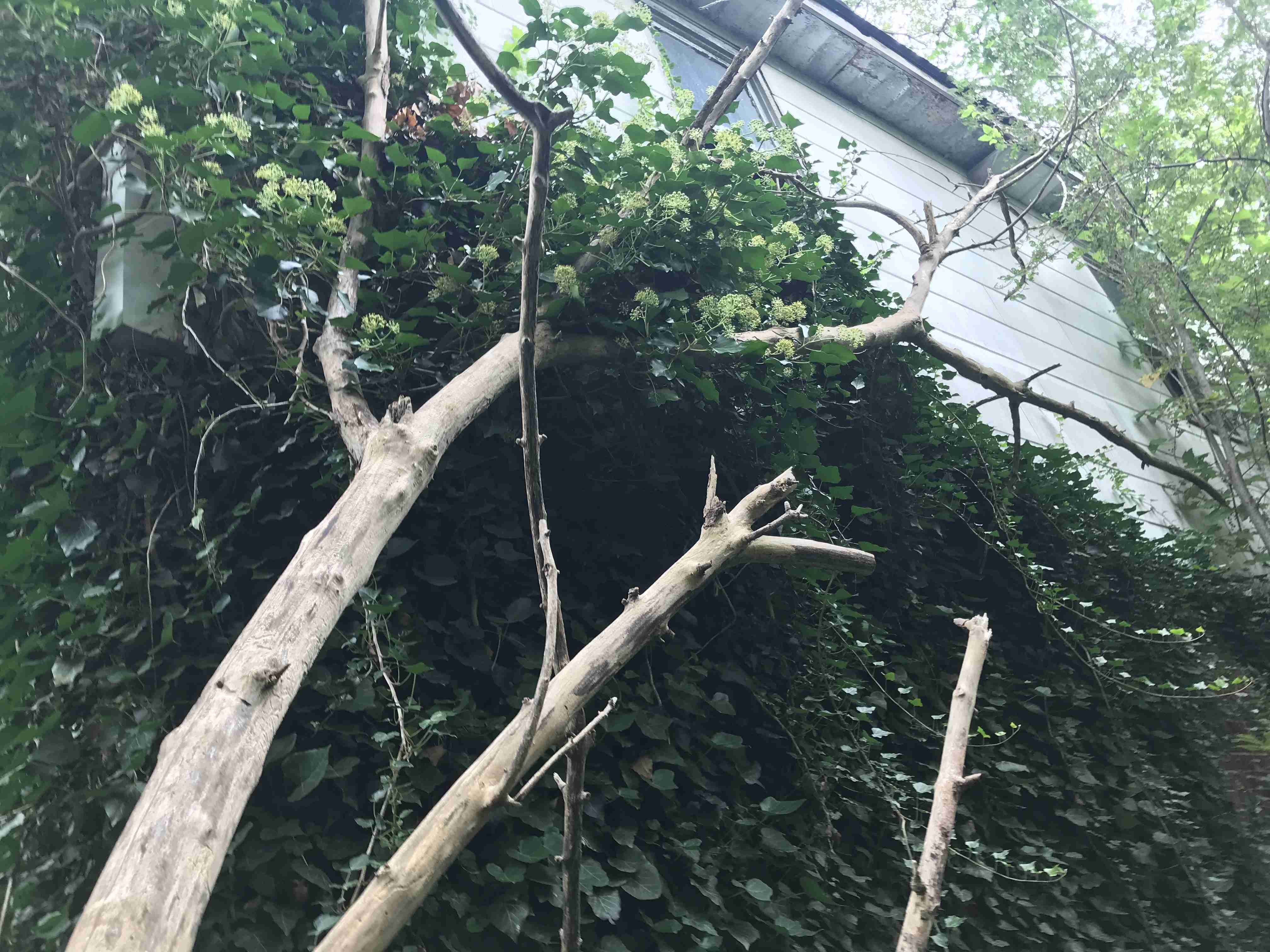 Photo Sep 10, 2 44 56 PM (1).jpg